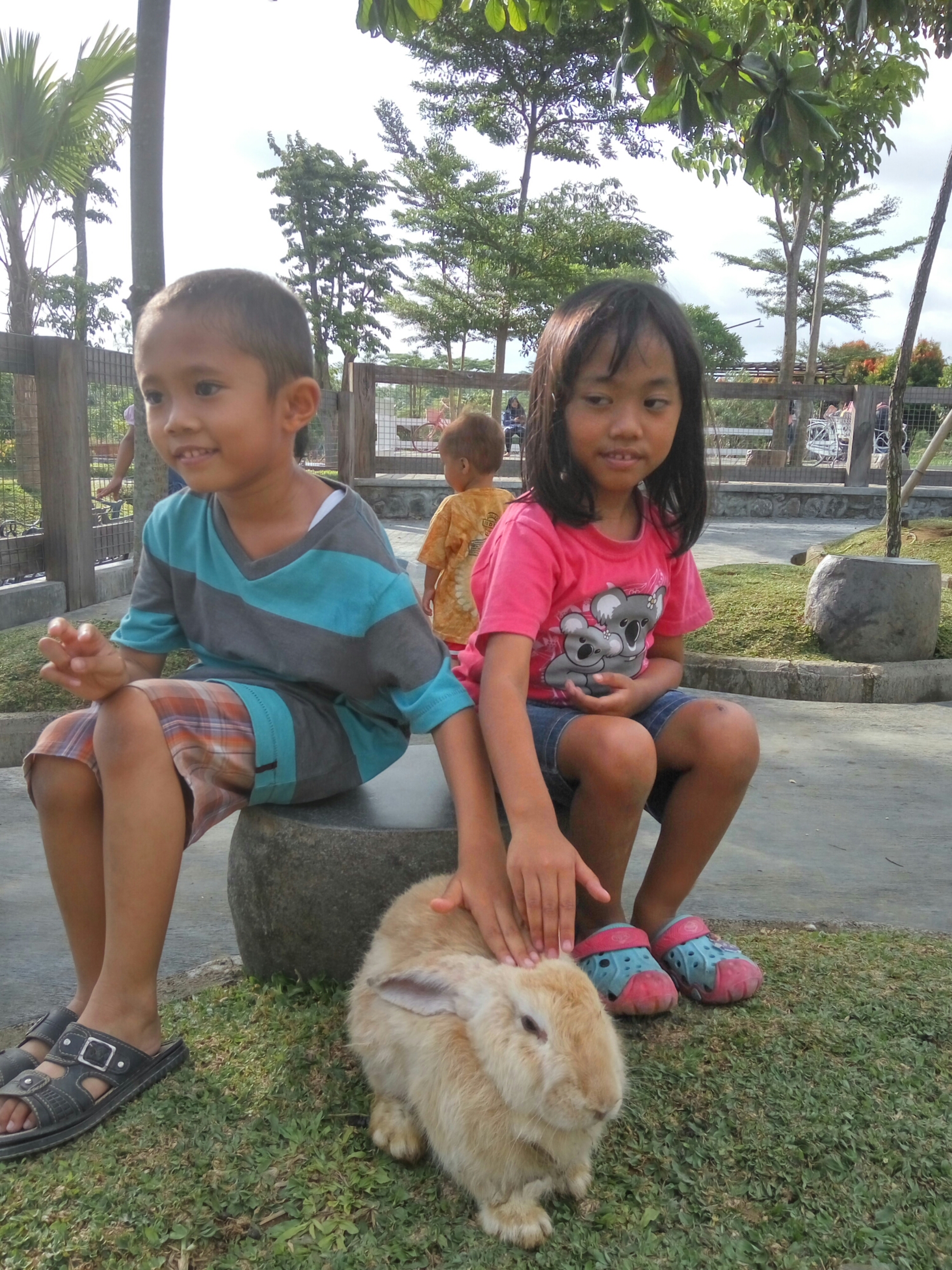 Milkindo GreenFarm Kepanjen Tempat Wisata Edukatif Untuk Anak